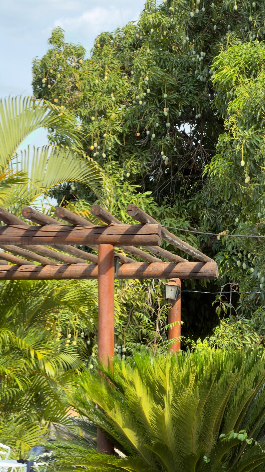Casa com quintal e vista linda